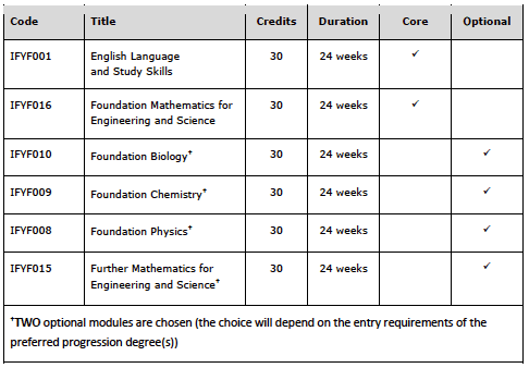 FDN Engineering and Science履修科目一覧